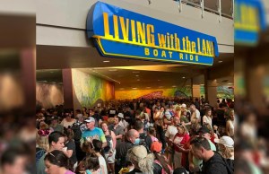 Guest Collision at EPCOT Lands Older Woman in Hospital