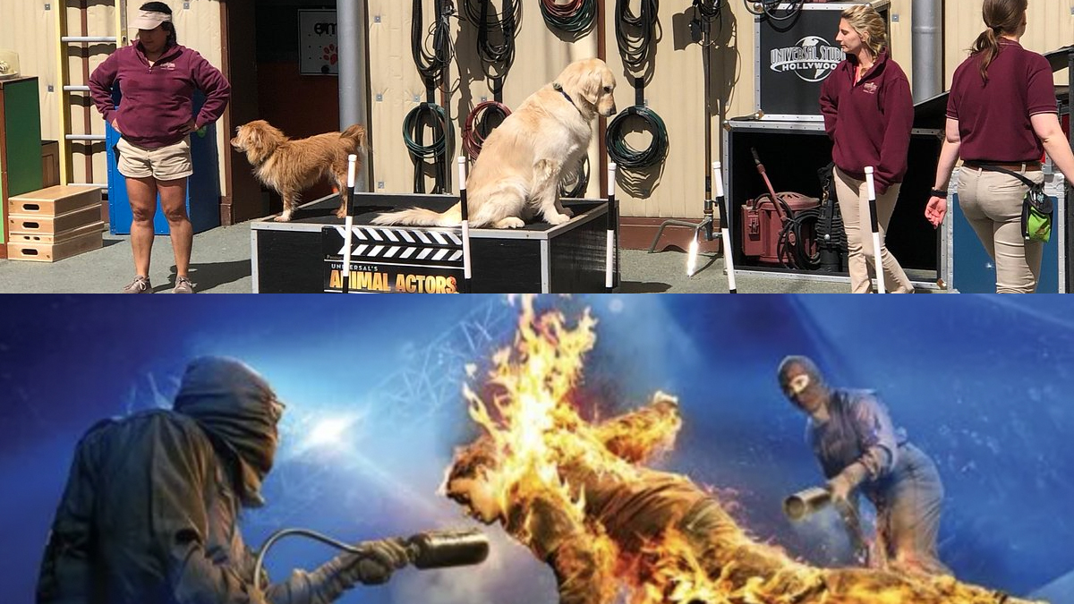 Special-Effects-Show-and-Universal’s-Animal-Actors-at-Universal-Studios-Hollywood-to-Close-Permanently-