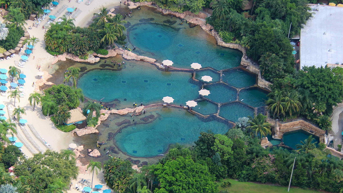 Aerial Photos of Discovery Cove
