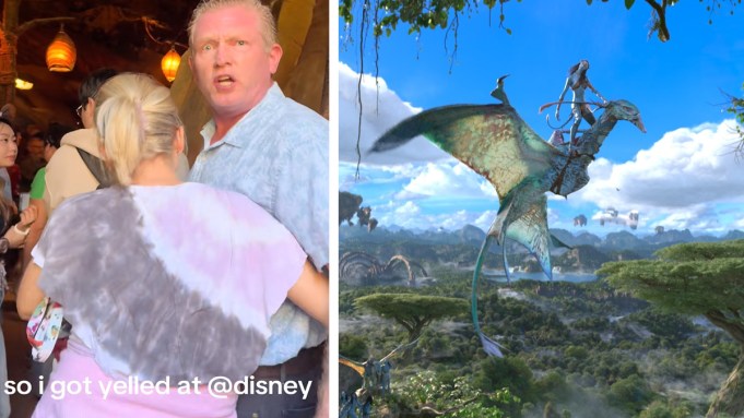Verbal Altercation in Queue of Avatar – Flight of Passage at Disney’s ...