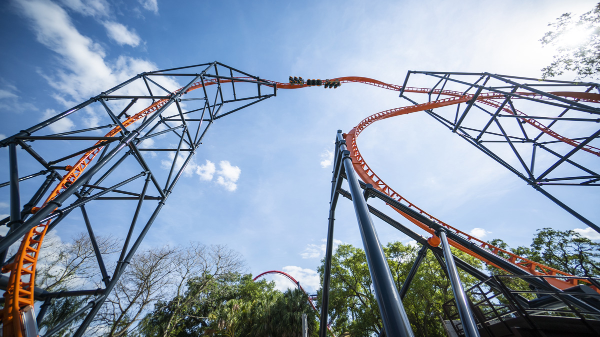 Comfort Collars on Tigris at Busch Gardens Tampa Bay Removed