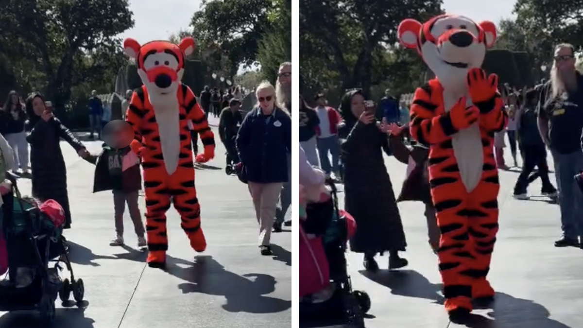 WATCH--Child-Pulls-Tail-of-Tigger-Character-in-Magic-Kingdom