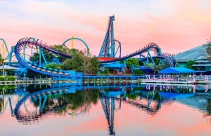 Woman Knocked Out by Snowy Egret While Riding SeaWorld Orlando’s Mako, Not Duck