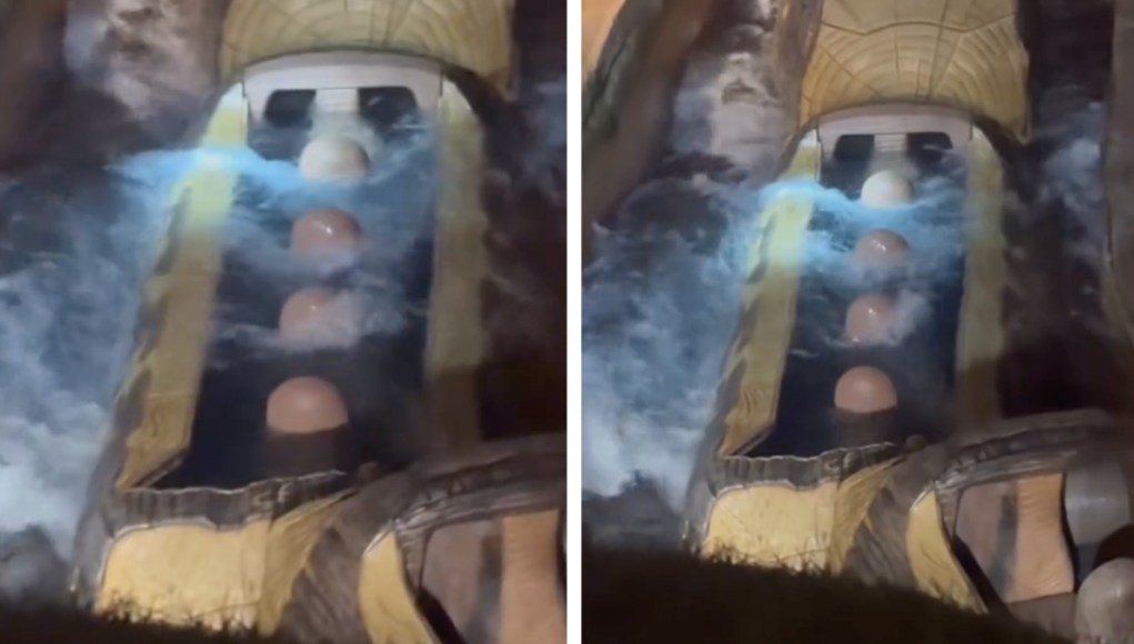 Tiana’s-Bayou-Adventure-Log-Submerged-Underwater-at-Disneyland-Park