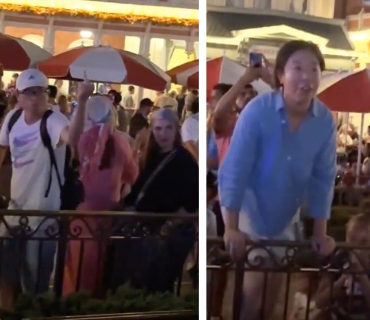 WATCH: Altercation During Happily Ever After at Magic Kingdom